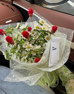Close-up of white daisies and red globe amaranth in white mesh flower wrapping