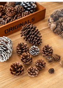 Vista macro di varie pigne naturali con punte bianche su un vassoio di legno rustico