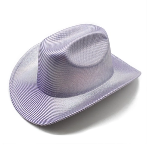 Detail of western cowboy hat featuring purple and silver metallic textured stripes