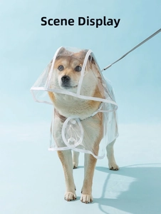 Detail view of transparent dog raincoat with white piping and snap button on Shiba Inu