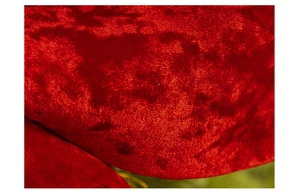 Macro shot of the soft velvet texture and vibrant red fabric of the Christmas bow ornament
