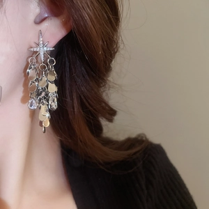 Boucles d'oreilles étoile en zircon avec pampilles de paillettes en cascade