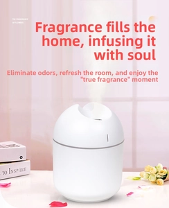 Close-up of a white egg-shaped mini humidifier with a minimalist mist nozzle on a desk