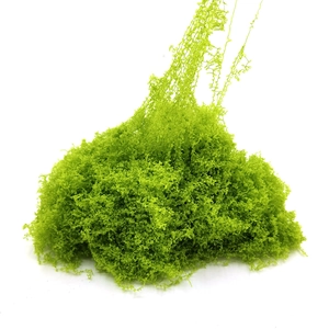 Dettaglio di fibra di muschio finto verde brillante per decorazioni floreali e fai da te
