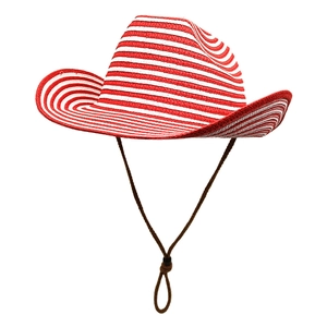 Detail showing red and white striped straw weave texture on a cowboy beach sun hat