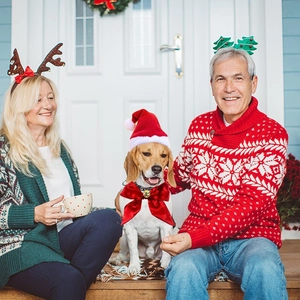 Golden bell red velvet bow and plush Christmas hat set for festive pet holiday wear