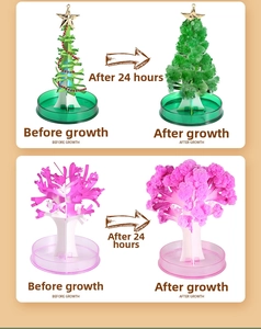 Macro comparison showing the 24h growth of magical paper tree crystals on a base