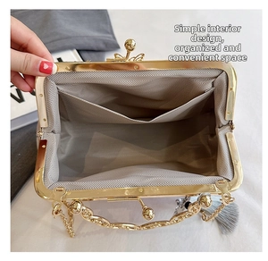 Detail view of the shell bag interior with herringbone lining and gold chain strap
