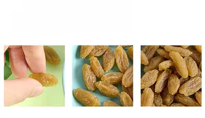 Macro shot of realistic PVC artificial raisins with detailed texture and natural color