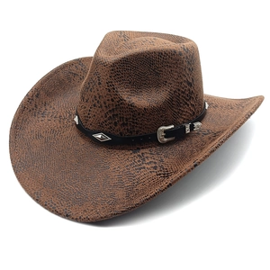 Detail of vintage brown snakeskin texture on western cowboy hat with silver engraved buckle