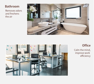 Infographie montrant des huiles essentielles pour éliminer les odeurs au bureau et au bain