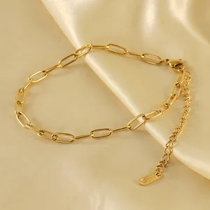 Paperclip Chain Anklet Stainless Steel 18K Gold Plated Minimalist Adjustable Summer Foot Jewelry For Women Girls