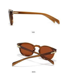 Detailed side view of amber tortoise sunglasses with gold arrow hinge accents and brown lenses