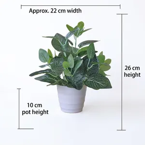 Artificial peperomia plant in white pot showing 26cm height and 22cm width dimensions