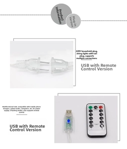 Detail of 220V plug and USB power options with remote for LED maple leaf string lights