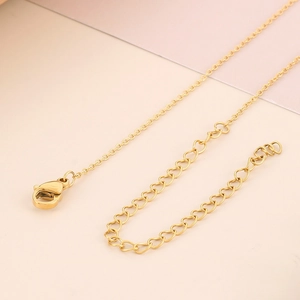 Gold titanium heart necklace with lobster clasp and adjustable link chain detail