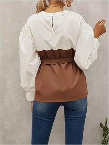 Elegant two-tone paneled blouse with puff sleeves and belted waist back view