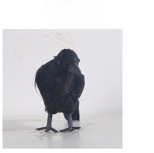 Detail of realistic black feathered crow with wire feet for Halloween tabletop decoration