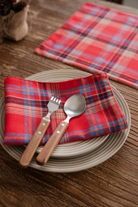 Detail of stainless steel cutlery with wooden handles on red checkered fabric runner