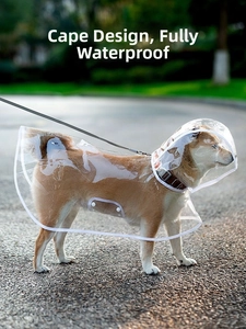 Close-up of transparent dog raincoat with white piping and a hood on a Shiba Inu