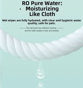 Detail of saturated pet cleaning wipe with RO pure water on light mint background