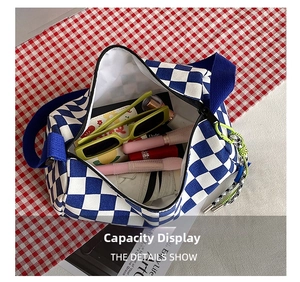 Internal capacity view of blue checkerboard canvas bag with small daily essentials
