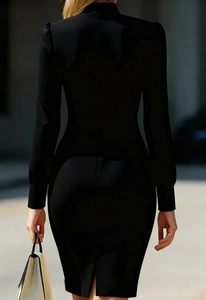Elegant back view of black slim fit long sleeve turtleneck dress for office or parties