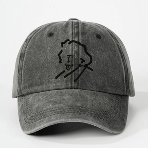Dark grey washed cotton baseball cap featuring embroidered Einstein silhouette