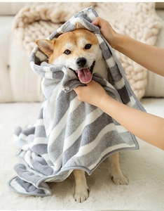 Primer plano de un Shiba Inu con una toalla de rayas grises y blancas para mascotas