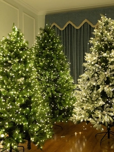 Detailed view of green and flocked Christmas trees with warm LED copper wire lights