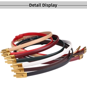 Close-up of assorted genuine leather belts in multiple colors with gold metal buckles