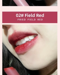 Lip close-up showing 02 Fried Field Red matte velvet lipstick on a person's lips