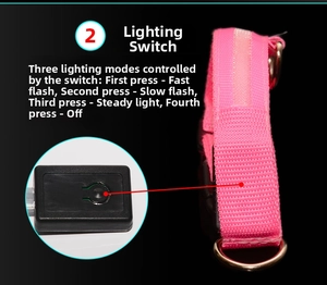 Détail du collier LED rose pour chien avec sangle en nylon et boucle en D en métal