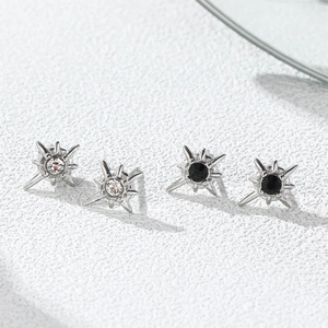 Macro shot of silver titanium steel star earrings set with black and white zircon stones
