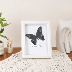 European vintage square white wood frame with blue butterfly specimen and decorative text