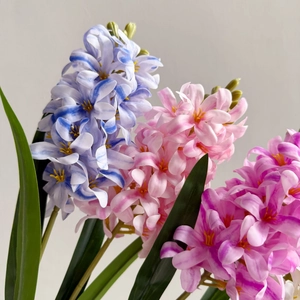 Detail of 3D lifelike hyacinth flower stems in blue and pink for home decoration