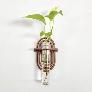 Wall-mounted dark wood propagation station with a glass tube and green plant leaf