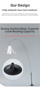 Detail of powerful suction cup base and flexible steel wire rod with feather cat toy