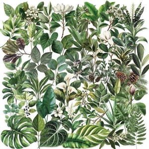 50 pieces of waterproof transparent PET green leaf stickers for scrapbooking and decoration