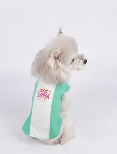Detail of pet summer T-shirt with green contrast sleeves and best edition lettering