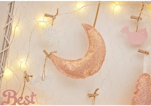 Detailed view of sequin moon ornament on a mesh background with warm fairy lights