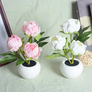 Detailed view of pink and white tulip LED night lights in elegant white ceramic pots