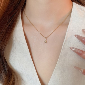 Primo piano della collana con pendente a stella dorata e zirconi sul collo della modella