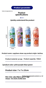 750ml Capybara water bottle details showing material, size, and vibrant color options
