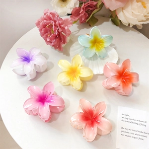 Pinces À Cheveux Fleur De Frangipanier Résine Plastique Dégradé Semi Transparent Été Plage Vacances Hawaien Pour Femmes