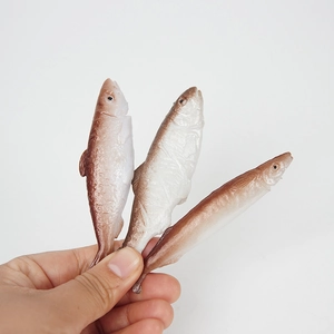 Realistic 3-piece simulated loach and small fish models held for scale display