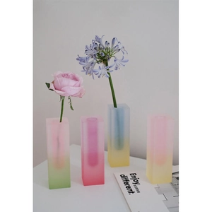 Minimalist gradient acrylic rectangular vases in soft pastel tones for home floral decor