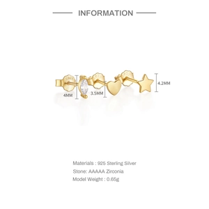 Detail of 925 sterling silver earring set with heart, star and AAAAA zirconia