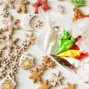 Christmas stainless steel cookie mold set with colorful icing piping bags for holiday baking