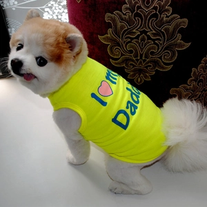 Pomeranian wearing neon yellow cotton dog vest with blue I Heart My Daddy print